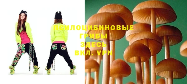ALPHA PVP Арсеньев